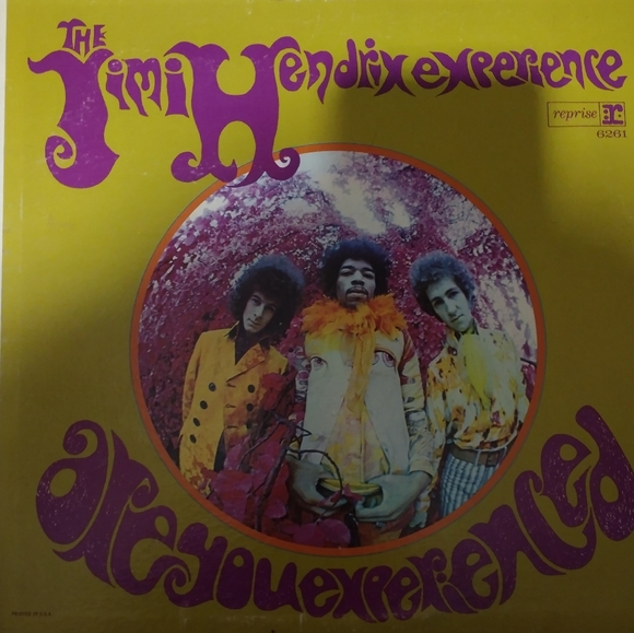 Meet your Posher, LuDiggity Dawg - Picture 3 of 3